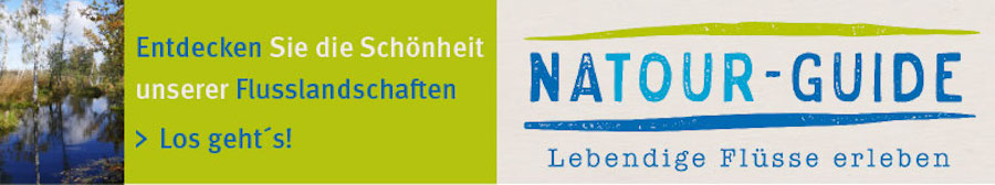It Haus Gmbh